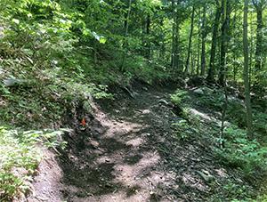 recently constructed trail in Cascade Mountain