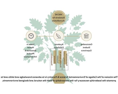 MSCHE认证标准优秀的学生经验学术卓越投资人力资源和物理基础设施环境管理领导多样性, 公平和包容经济责任. 环境科学与林业学院的使命是提高知识和技能，并促进管理自然环境和设计环境所需的领导能力.